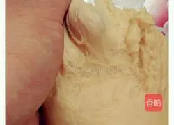 Bread Scallion Cake Recipe Illustration 5