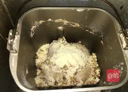 French Bread - Parmesan Walnut Bread Recipe Illustration 3