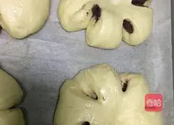 Illustration of making bean paste buns 13