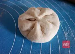 Coconut Whole Wheat Illustration of making buns 7