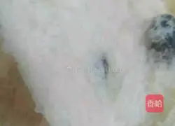 Illustration of how to make bread machine version of raisin milk bread 7