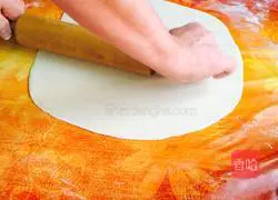 Illustration of German Crispy Crust Pizza 7