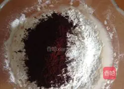 Illustration of how to make Michelle Cocoa Bread (no kneading) 1