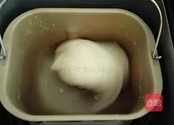 Cheese and ham bread recipe 1