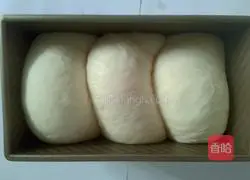 Toast Bread Recipe Illustration 8