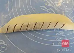 Illustration of how to make bean paste bread flowers 14