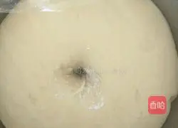 Whole wheat bread recipe 8