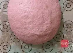 Rose Bread Recipe Illustration 7