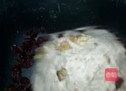 Cranberry Whole Wheat European Bun Recipe Illustration 2