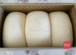 Illustration of how to make bacon omelette sandwich 9