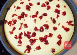 Low-fat and oil-free cornbread recipe 12