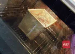 Whole wheat bread recipe 9