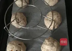 Walnut bread recipe 8
