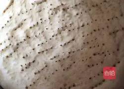 Pizza recipe illustration 2