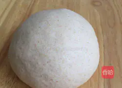 Whole wheat lava cheese bread recipe 1