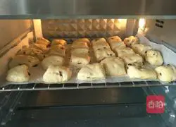 Cranberry Bread Recipe Illustration 19