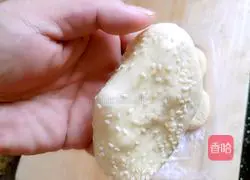 Illustration of how to make sesame bagels 3