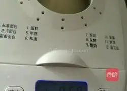 Whole wheat cheese bread recipe 4