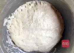 Illustration of how to make old starter bread 3