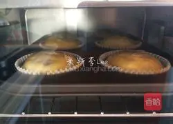 Vanilla Cranberry Marmalade Fen (traditional method) practice illustration 13