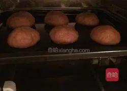 Illustration of how to make chocolate chip cookies with whole wheat bread flour 8
