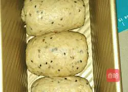 Illustration of making whole wheat yogurt toast bread 3