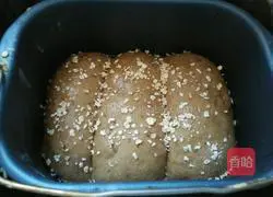 Buckwheat bread recipe 10