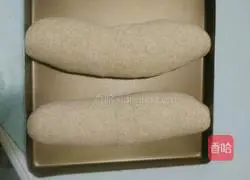 Whole wheat bread recipe 9