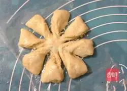 Illustration of how to grow coconut flower bread in the refrigerator 10