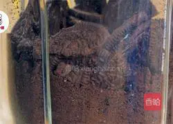 No-bake strawberry chocolate tart recipe 1