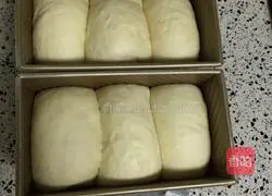 Toast Bread Recipe Illustration 5