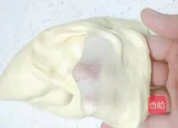 Bow Tie Bread Recipe Illustration 5