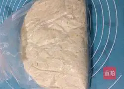 Illustration of how to grow coconut flower bread in the refrigerator 1