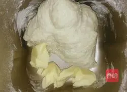 Basic bread recipe 2