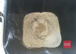 Mango bread recipe 3