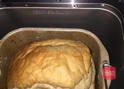 Whole wheat bread recipe 8