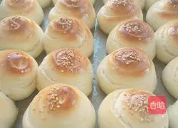 Honey bread recipe 14