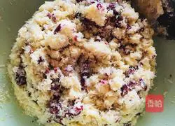 Coconut Cranberry Bread (Hand Kneaded Dough) Recipe Illustration 4