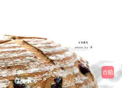 Wheat Germ European Buns with Nuts (Country Bread) Recipe 6