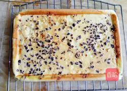 Cranberry Cake Roll Recipe Illustration 14