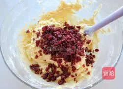 Cranberry Muffin Cake Recipe Illustration 8