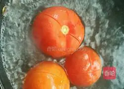 Illustration of how to make tomato sauce 2