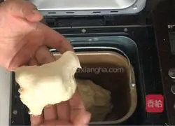 Mango Jam Raisin Bread Recipe Illustration 3