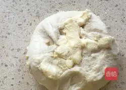 Honey bread recipe 4