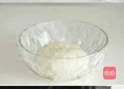 Spring Garden Pizza Recipe Illustration 3