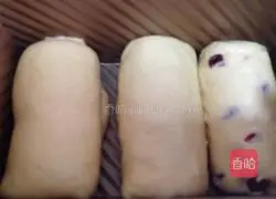 Cranberry toast recipe 7