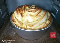 Vienna hand Illustration of how to make Thousand Layer Bread 14