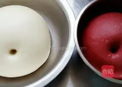 Sunflower Bread? Recipe Illustration 11