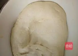 Illustration of how to make bunny cream bread 4