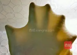 Cranberry Bread Illustration of how to do it 2